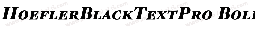HoeflerBlackTextPro Bold字体转换